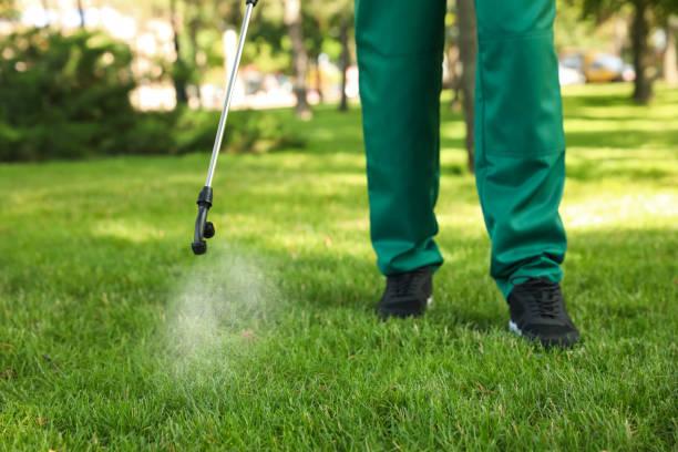 Best Affordable Pest Control Services  in Phillipsburg, GA