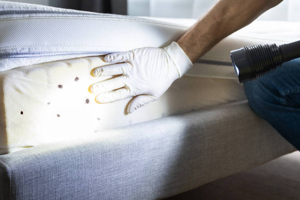 Best Pest Inspection Near Me  in Phillipsburg, GA