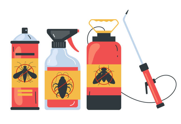 Best Termite Control Services  in Phillipsburg, GA