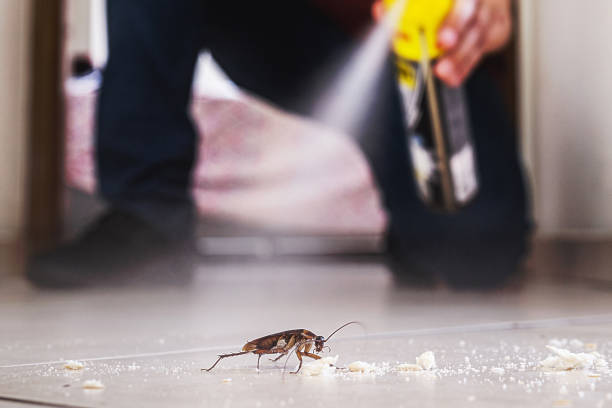 Best Termite Control Services  in Phillipsburg, GA