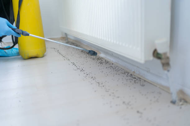 Best Wildlife Control Services  in Phillipsburg, GA